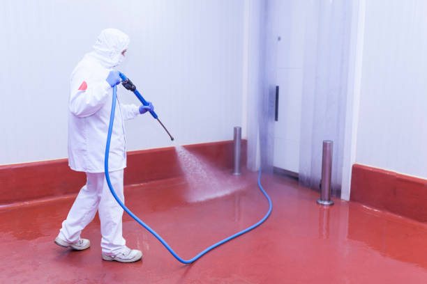 Best Oil Spill Cleanup  in Pebble Creek, FL